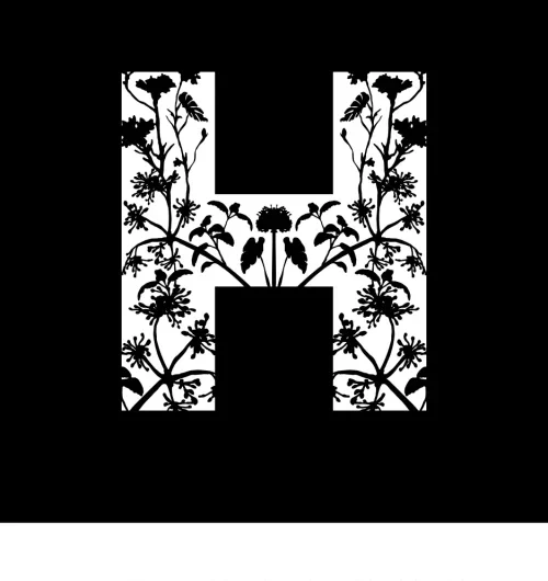 The Hackney Logo